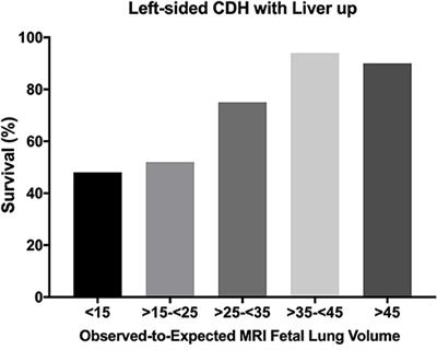 Extracorporeal Membrane Oxygenation in Congenital Diaphragmatic Hernia